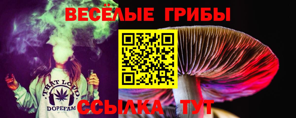 Сочи  Галлюциногенные грибы Magic Shrooms  Вход с VPN 